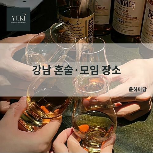 강남 혼술·모임 장소 룸 추천