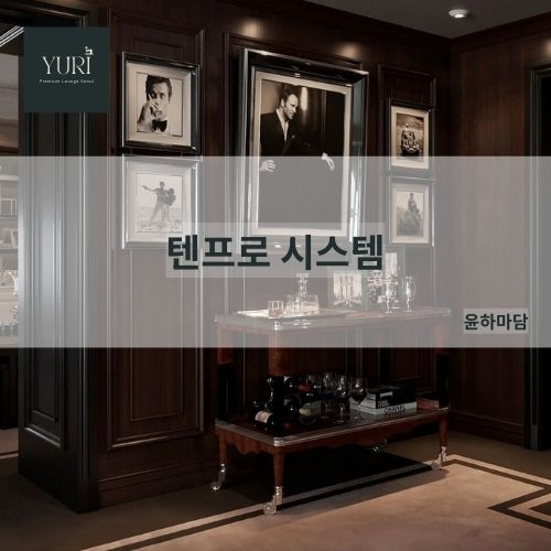 텐프로 소개 윤하마담 안내 신사 압구정 청담 강남