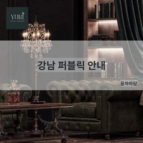 강남 퍼블릭 윤하마담 윤하실장 시스템 안내 가이드