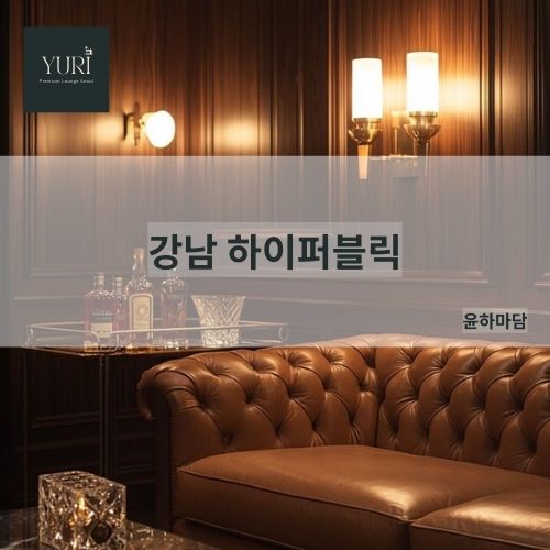 하이퍼블릭 윤하마담 시스템 강남하이퍼블릭 하퍼