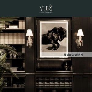 로우업소란 무엇일까? 뜻과 정리