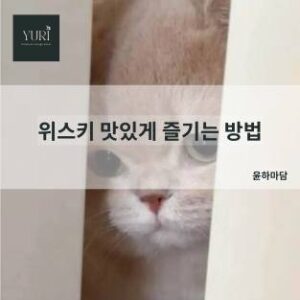 위스키 맛있게 즐기는 방법