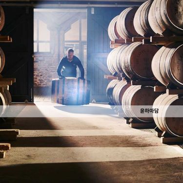 쩜오 vs 텐카페 vs 텐프로 vs 하이퍼블릭 비교