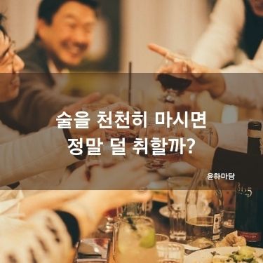 술을 천천히 마시면 정말 덜 취할까?